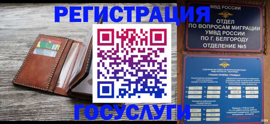 временная регистрация гарантия в Апатитах